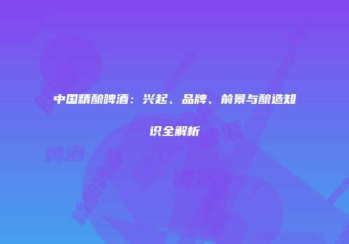 中国精酿啤酒：兴起、品牌、前景与酿造知识全解析