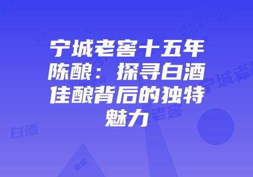 宁城老窖十五年陈酿：探寻白酒佳酿背后的独特魅力