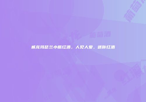 威龙玛瑟兰小瓶红酒，人见人爱，迷你红酒
