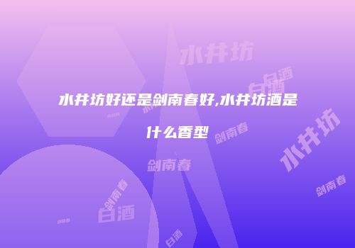 水井坊好还是剑南春好,水井坊酒是什么香型