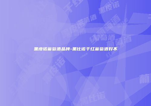 黑皮诺葡萄酒品牌-黑比诺干红葡萄酒好不