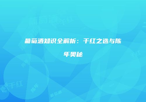 葡萄酒知识全解析：干红之选与陈年奥秘