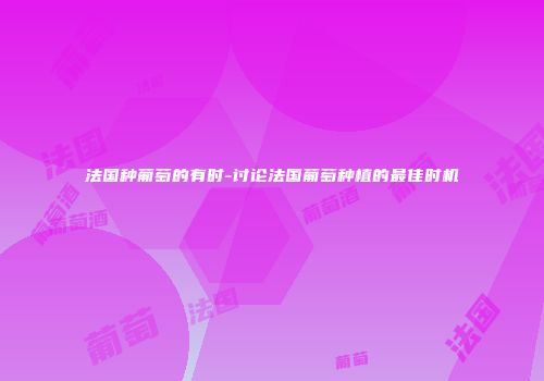 法国种葡萄的有时-讨论法国葡萄种植的最佳时机