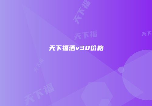 天下福酒v30价格