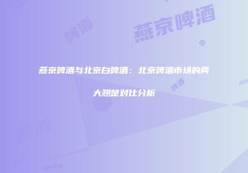 燕京啤酒与北京白啤酒：北京啤酒市场的两大翘楚对比分析
