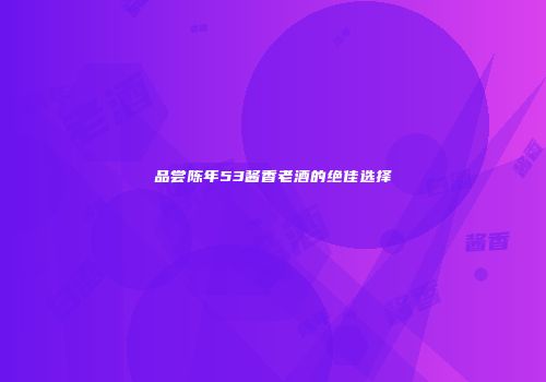 品尝陈年53酱香老酒的绝佳选择
