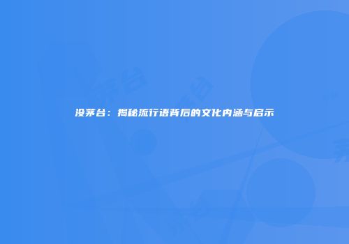 没茅台：揭秘流行语背后的文化内涵与启示