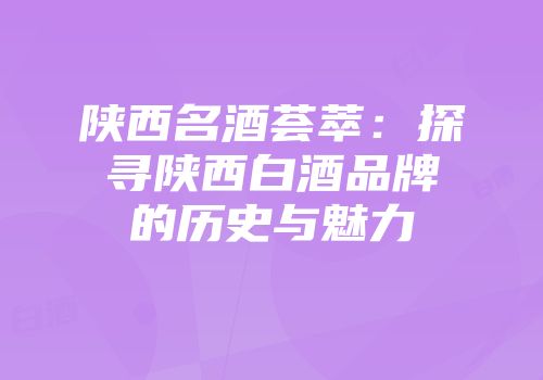 陕西名酒荟萃：探寻陕西白酒品牌的历史与魅力