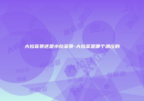 大拉菲贵还是小拉菲贵-大拉菲是哪个酒庄的
