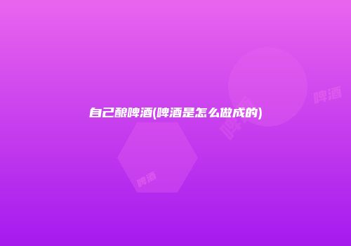 自己酿啤酒(啤酒是怎么做成的)