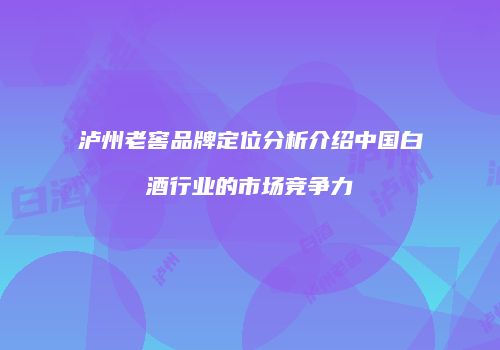 泸州老窖品牌定位分析介绍中国白酒行业的市场竞争力
