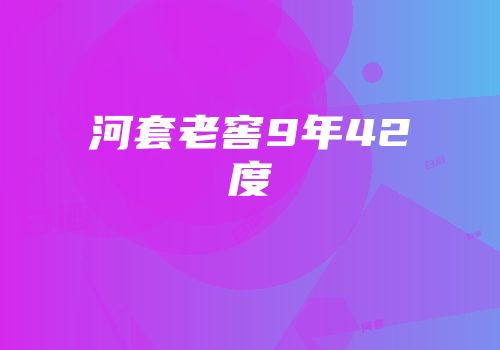 河套老窖9年42度