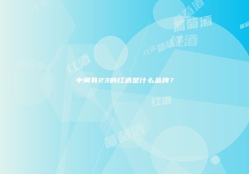 中间有23的红酒是什么品牌？