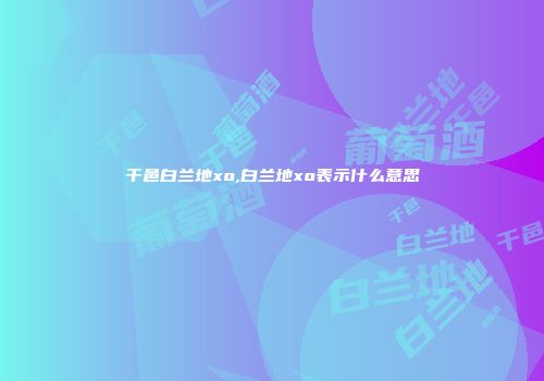 干邑白兰地xo,白兰地xo表示什么意思