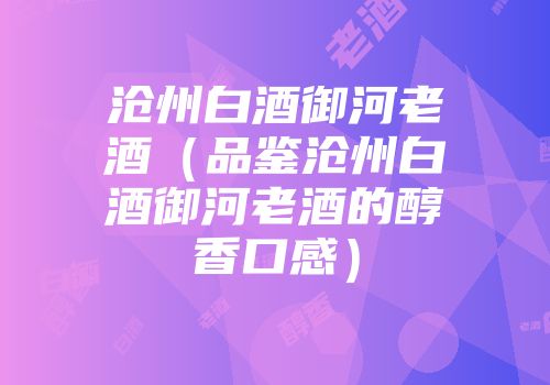 沧州白酒御河老酒（品鉴沧州白酒御河老酒的醇香口感）
