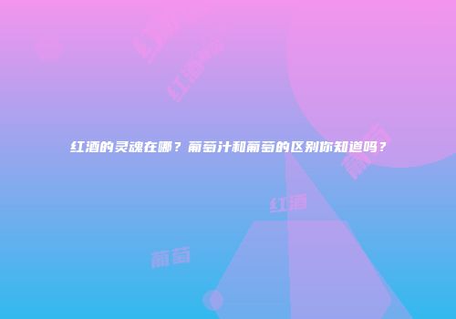 红酒的灵魂在哪？葡萄汁和葡萄的区别你知道吗？