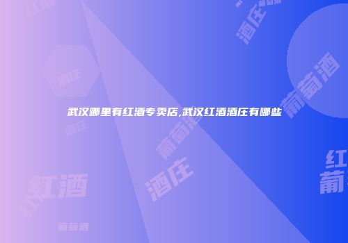 武汉哪里有红酒专卖店,武汉红酒酒庄有哪些