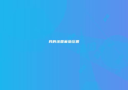 我的法国葡萄庄园