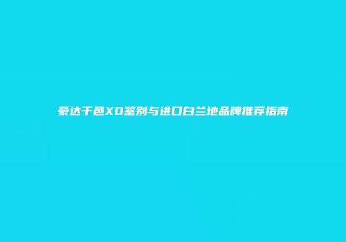 豪达干邑XO鉴别与进口白兰地品牌推荐指南