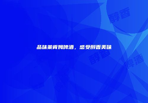 品味莱肯姆啤酒，感受醇香美味