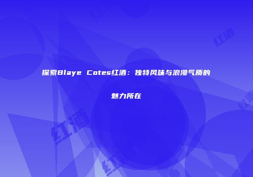 探索Blaye Cotes红酒：独特风味与浪漫气质的魅力所在