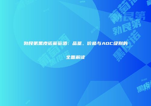 勃艮第黑皮诺葡萄酒：品鉴、价格与AOC级别的全面解读