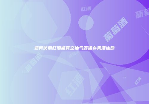 如何使用红酒瓶真空抽气器保存美酒佳酿