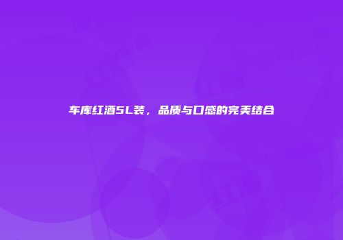 车库红酒5L装，品质与口感的完美结合