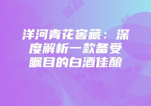 洋河青花窖藏：深度解析一款备受瞩目的白酒佳酿