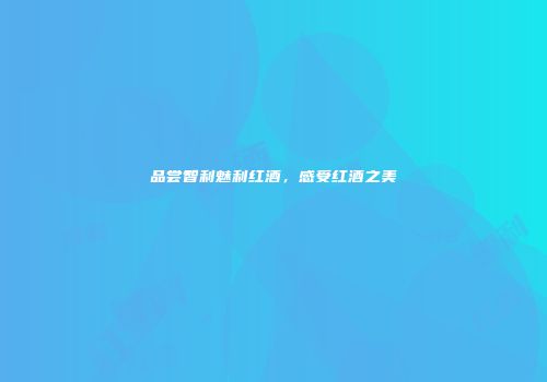 品尝智利魅利红酒，感受红酒之美