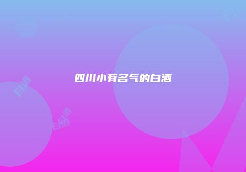 四川小有名气的白酒