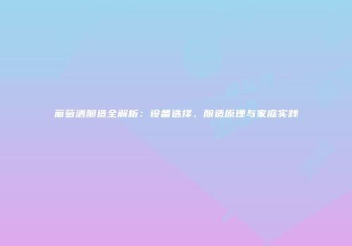 葡萄酒酿造全解析：设备选择、酿造原理与家庭实践