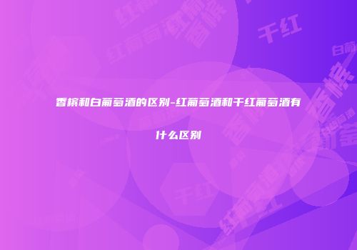香槟和白葡萄酒的区别-红葡萄酒和干红葡萄酒有什么区别