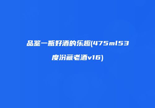品鉴一瓶好酒的乐趣(475ml53度汾藏老酒v16)