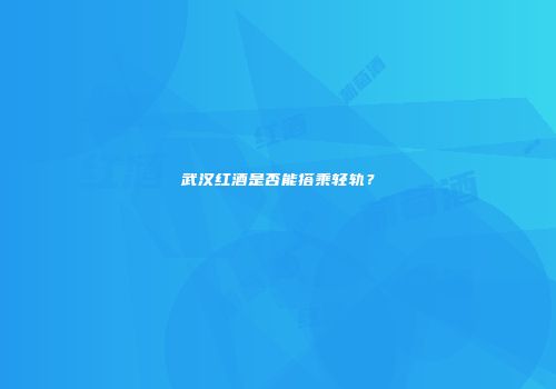 武汉红酒是否能搭乘轻轨？