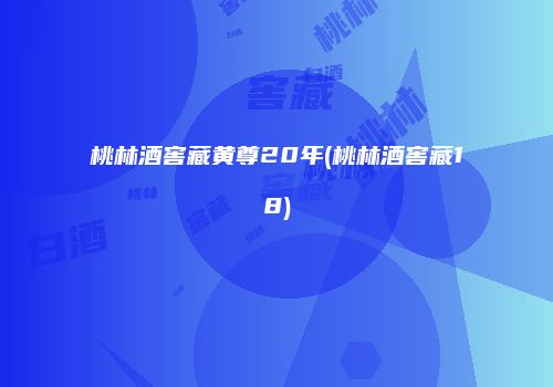 桃林酒窖藏黄尊20年(桃林酒窖藏18)