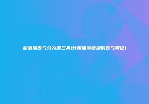 葡萄酒香气分为哪三类(长相思葡萄酒的香气特征)