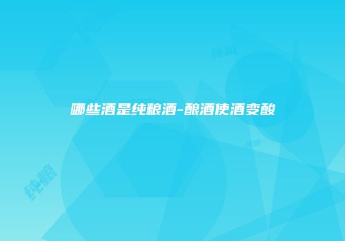哪些酒是纯粮酒-酿酒使酒变酸