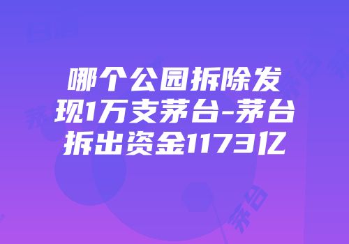 哪个公园拆除发现1万支茅台-茅台拆出资金1173亿