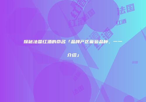 探秘法国红酒的命名「品牌产区葡萄品种，一一介绍」