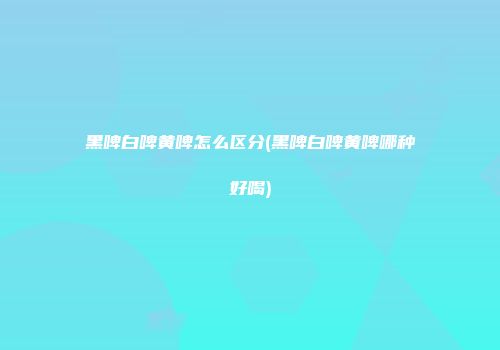 黑啤白啤黄啤怎么区分(黑啤白啤黄啤哪种好喝)