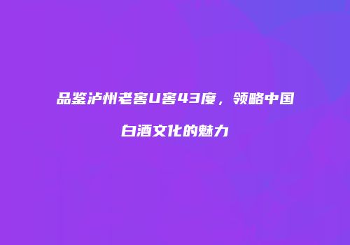 品鉴泸州老窖U窖43度，领略中国白酒文化的魅力