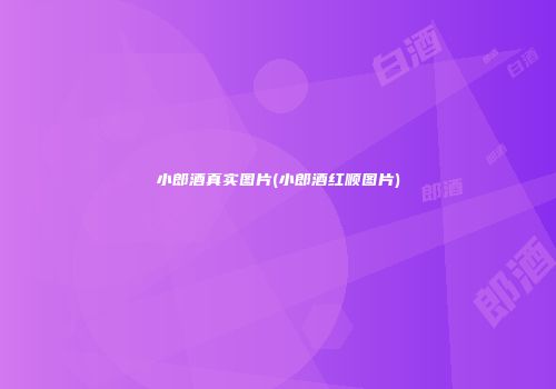 小郎酒真实图片(小郎酒红顺图片)