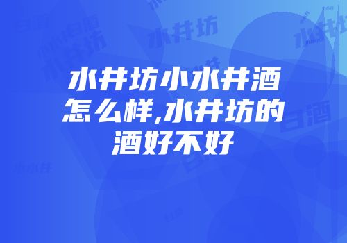 水井坊小水井酒怎么样,水井坊的酒好不好