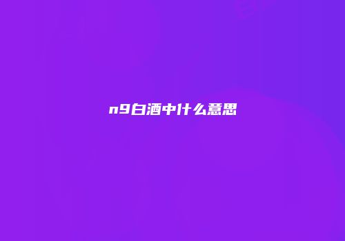 n9白酒中什么意思