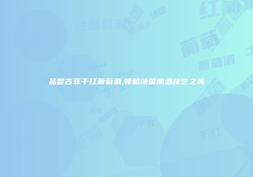 品尝古菲干红葡萄酒,领略法国酿酒技艺之美