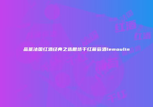 品鉴法国红酒经典之选磨坊干红葡萄酒lemoulin