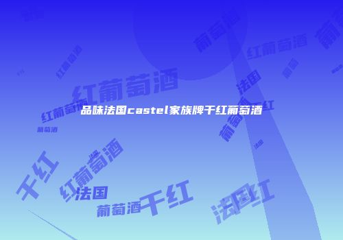 品味法国castel家族牌干红葡萄酒