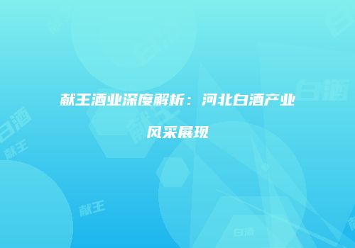 献王酒业深度解析：河北白酒产业风采展现