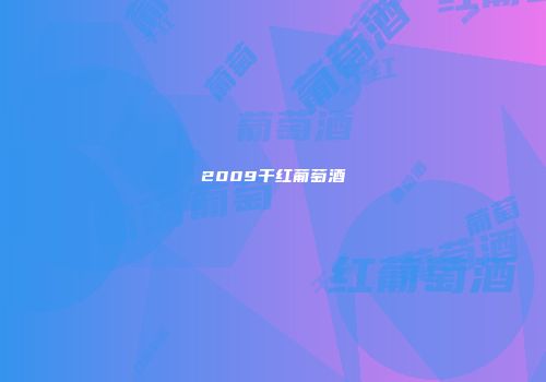 2009干红葡萄酒